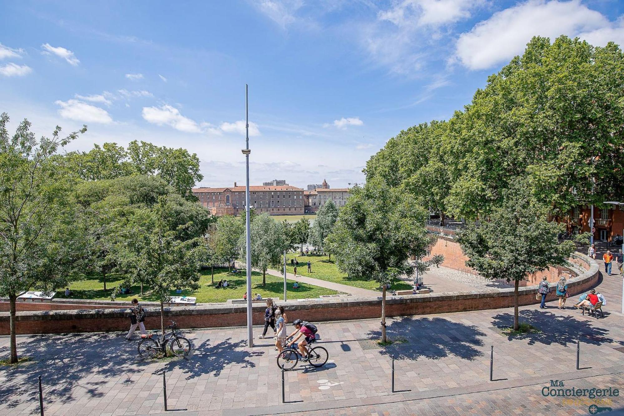 Artiste - Vue Sur Les Quais De La Garonne - Hypercentre *